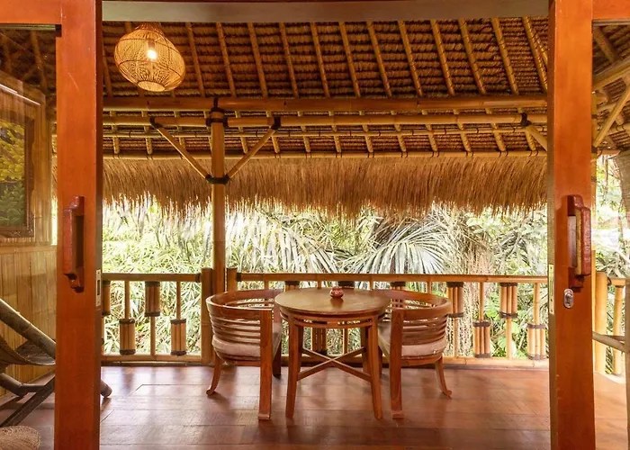 Organic Bamboo Near Villa *