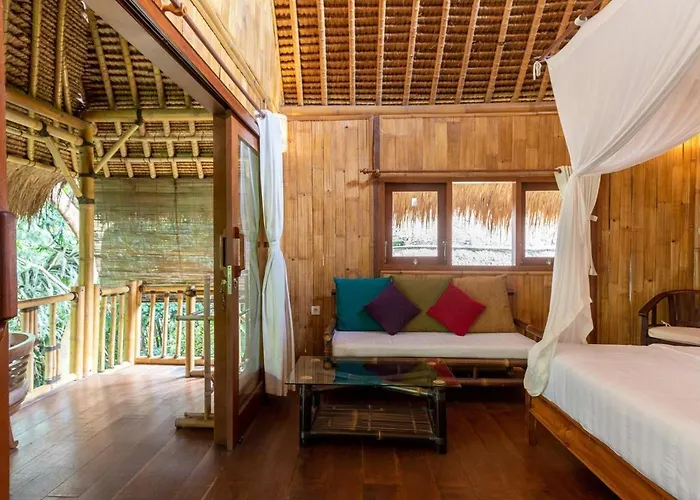 Villa Organic Bamboo Near