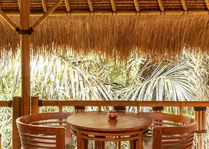 Villa Organic Bamboo Near *