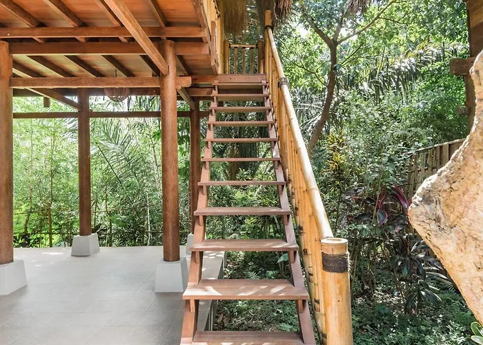 Villa Organic Bamboo Near